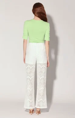 Enrique Pant, Marquee Lace><noscript><img width=