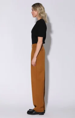 Tammy Pant, Camel><noscript><img width=